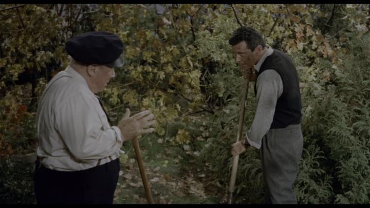 The Trouble with Harry (1955) [4536] (A1763169501) [[Movies]] --Plex--